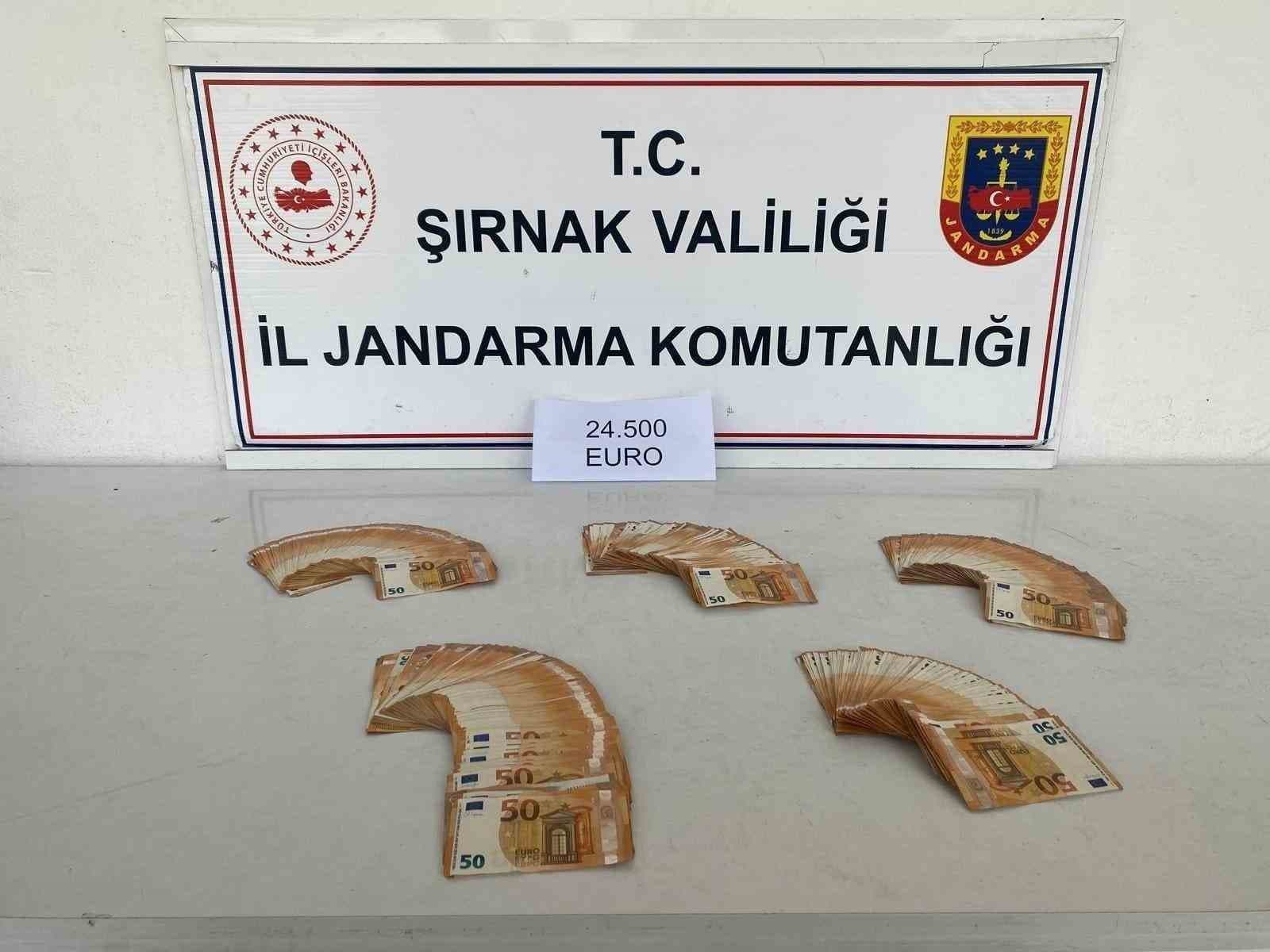 Şırnak’ta Jandarma Kaçakçılığa Büyük Darbe Vurdu