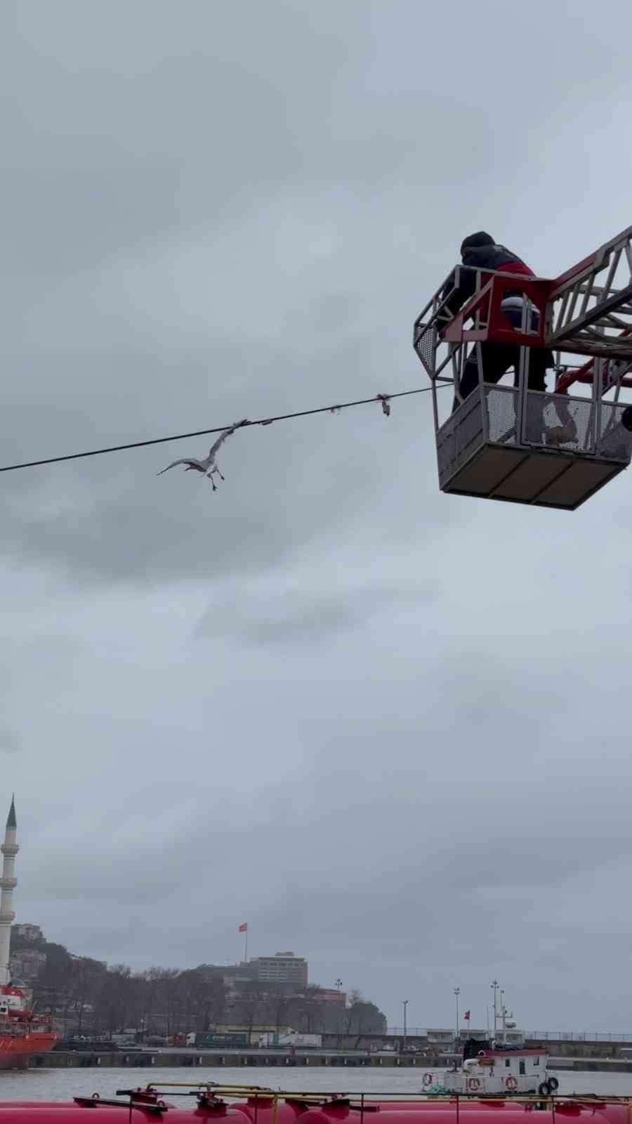 İtfaiye ekipleri, tel örgülerde mahsur kalan martıyı kurtardı