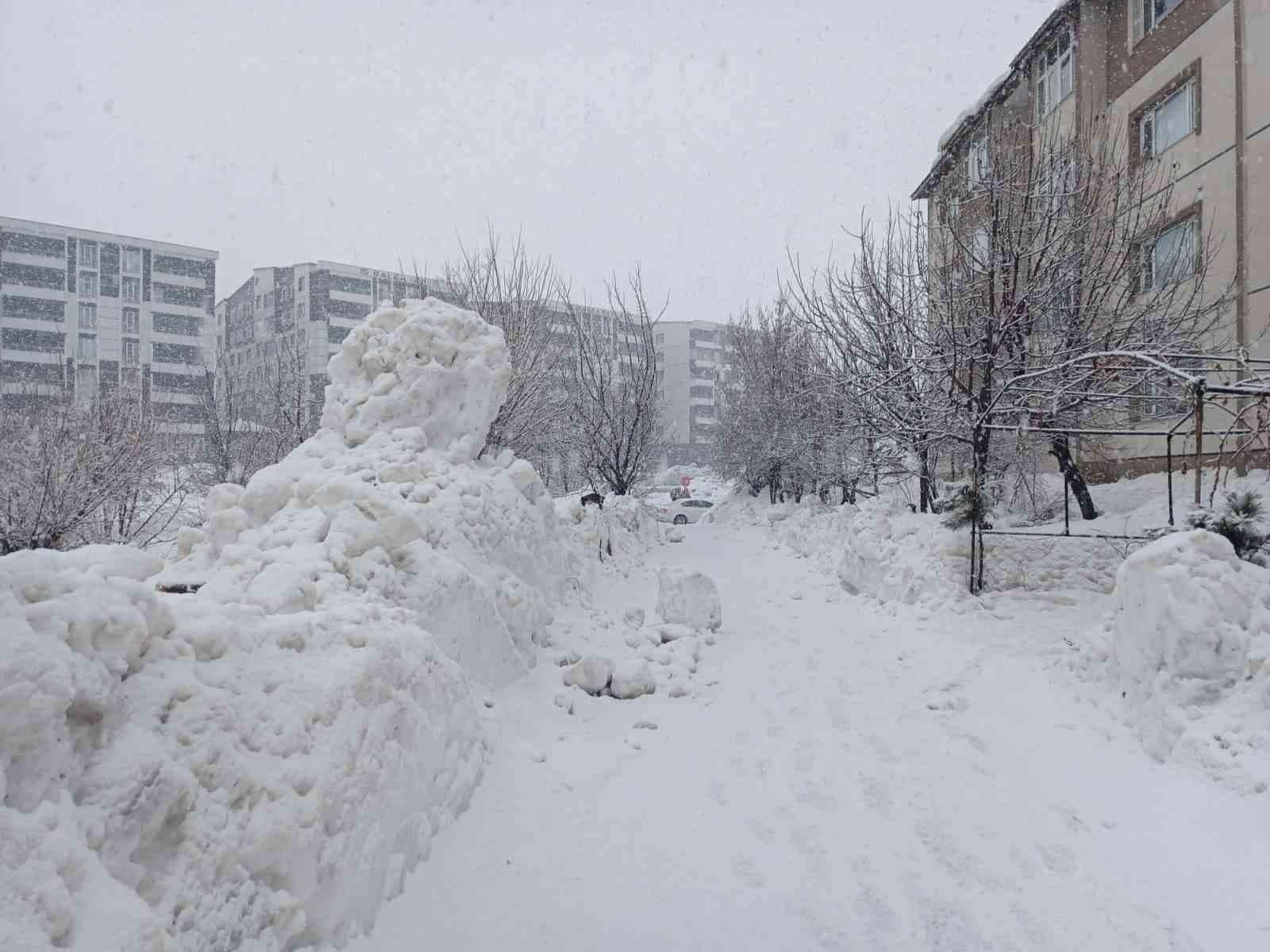 Bitlis'te Kar Yağışı Yeniden Başladı