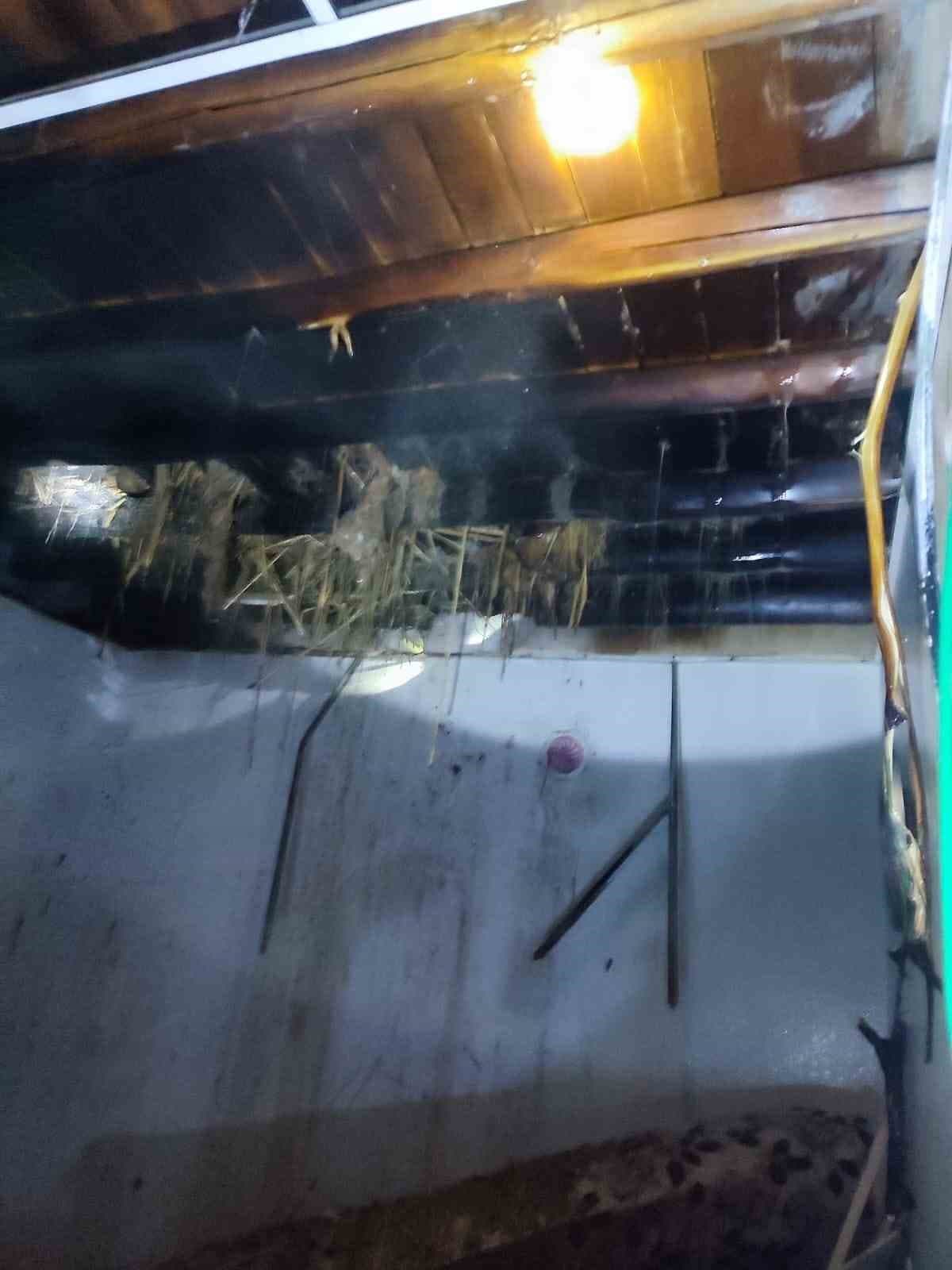 Karakoçan'da rüzgar nedeniyle çıkan baca yangını itfaiye tarafından kontrol altına alındı