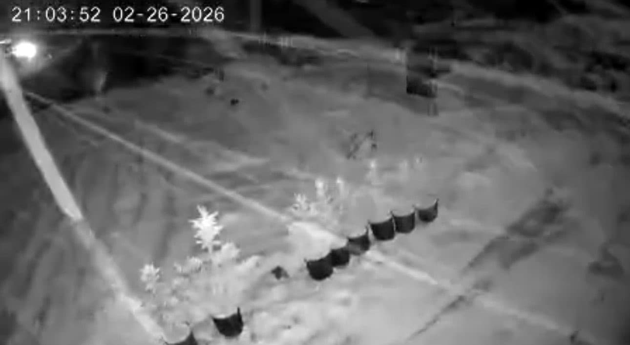 Çankırı'da Kar Yağışı Başladı