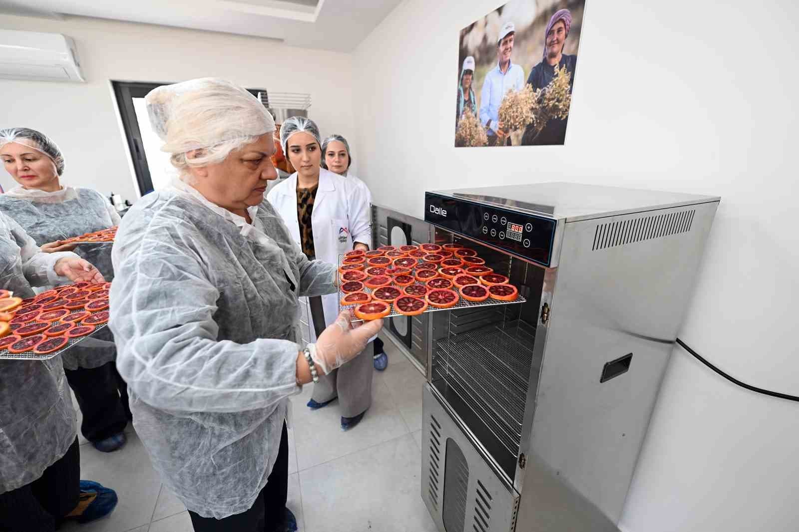 Mersin’de kan portakalı kadınların elinde değer kazanıyor