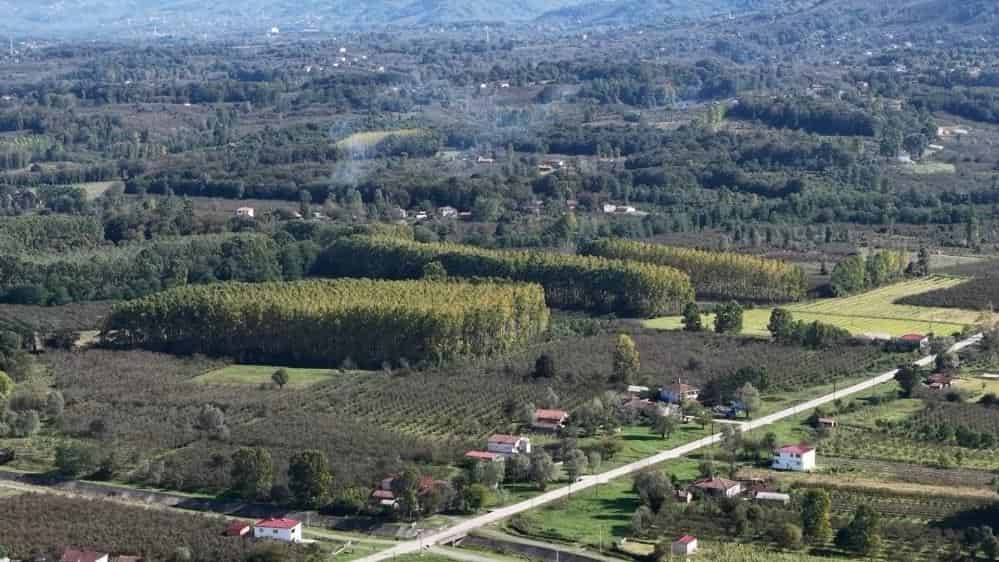 Çarşamba Ovası meyvede zirvede