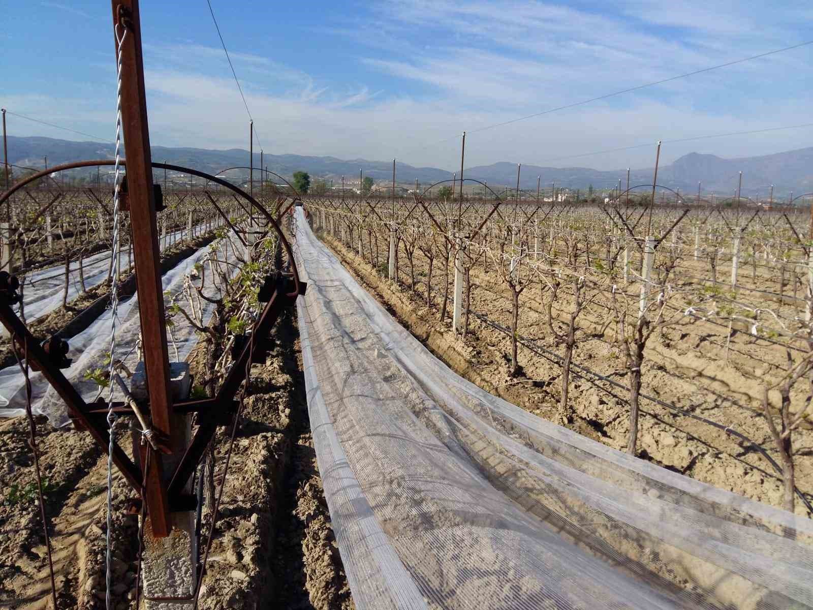 Dolu korkusuna fileli önlem