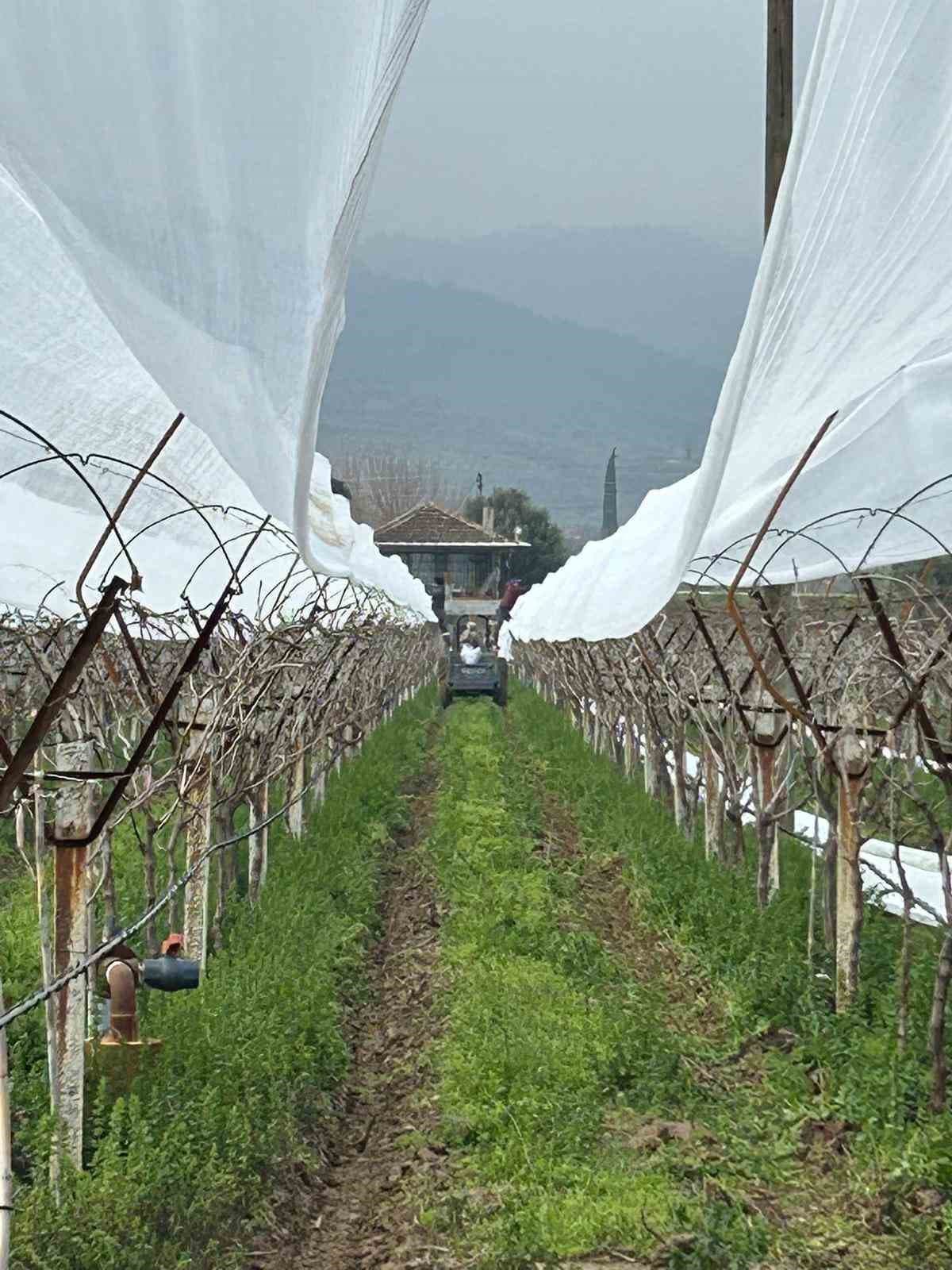 Dolu korkusuna fileli önlem