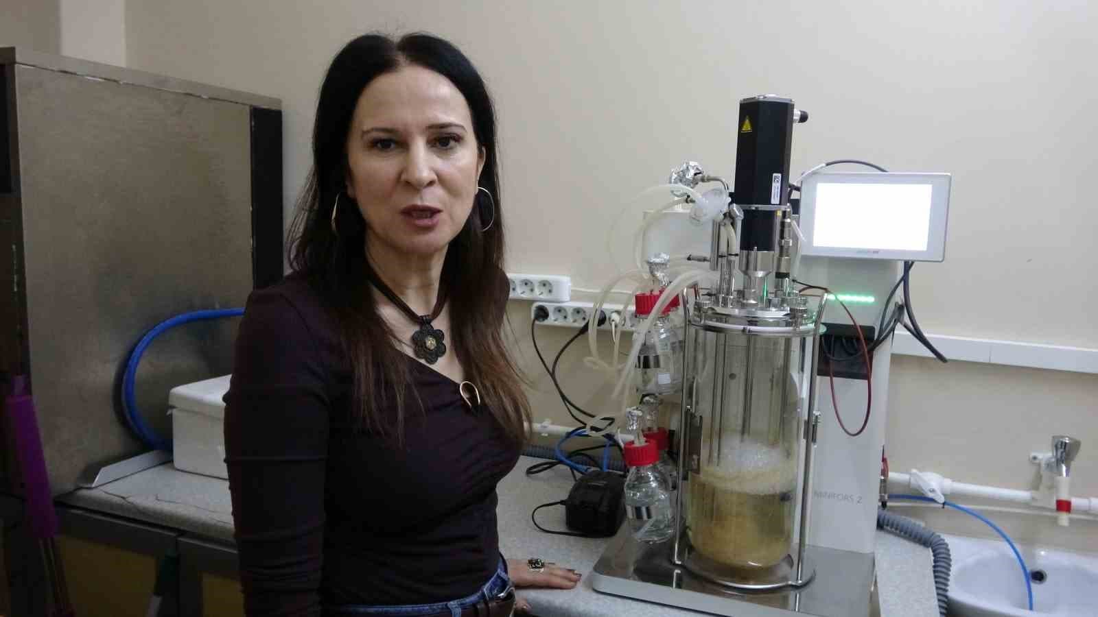 Isparta’da endemik bitkiden doğaya zarar vermeden kanserle mücadeleye umut olacak üretim modeli geliştiriliyor