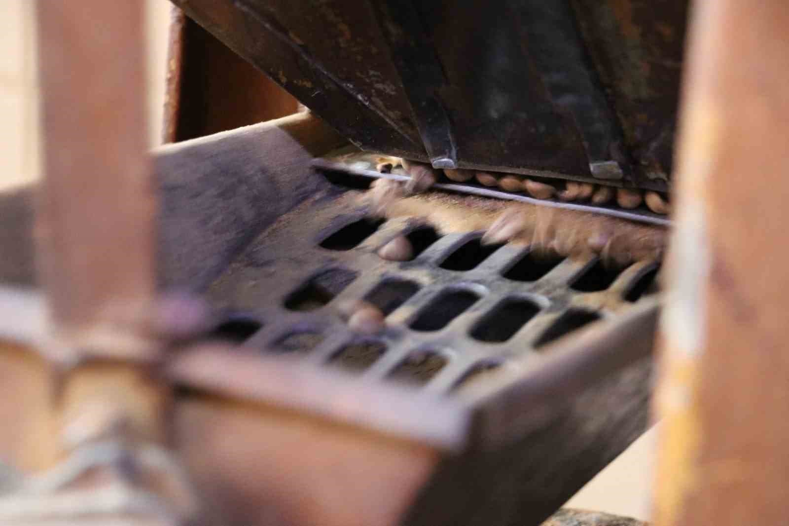 Sivas’ta kahve değil, tarih öğütülüyor