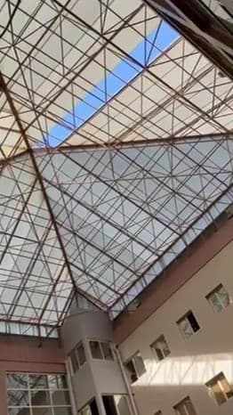 Adana’da şiddetli rüzgar ağaçları devirdi