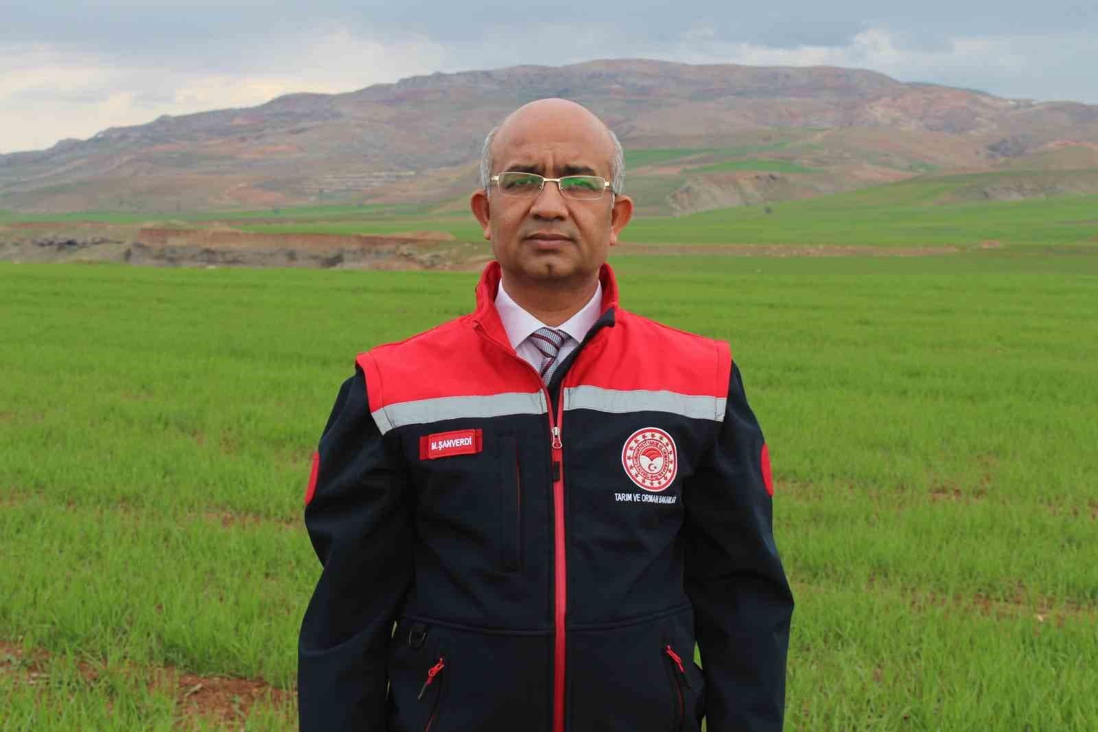 Siirt’te yağışlar yüzde 150 arttı, tarımsal hasıla beklentisi yükseldi