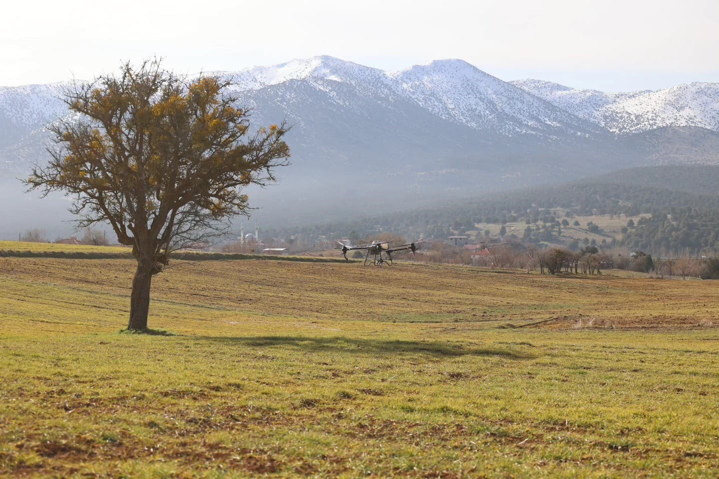 Tavas Belediyesinden çiftçiye dronlu gübreleme desteği