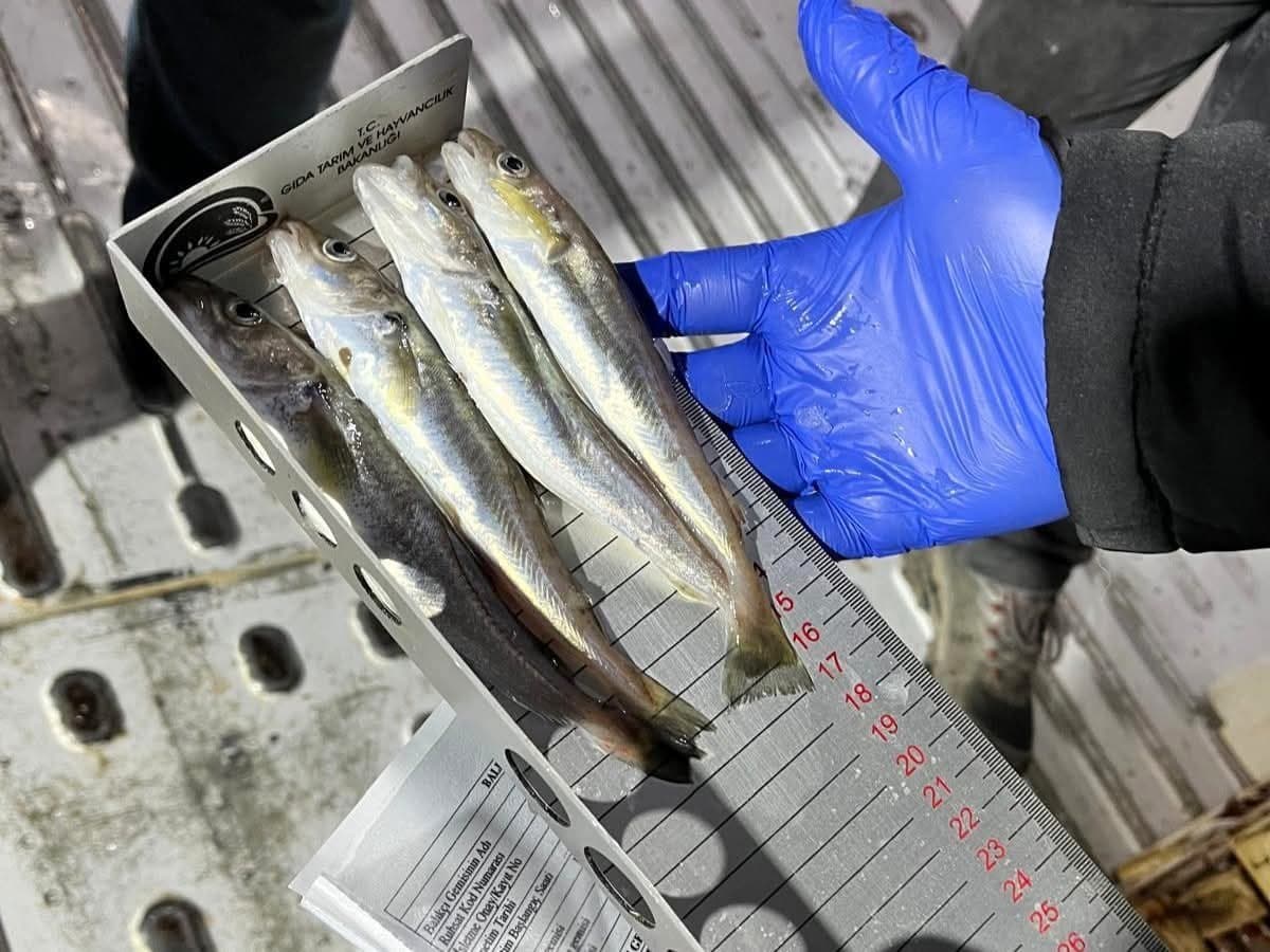 Kırklareli’nde su ürünleri nakil araçlarına sıkı denetim