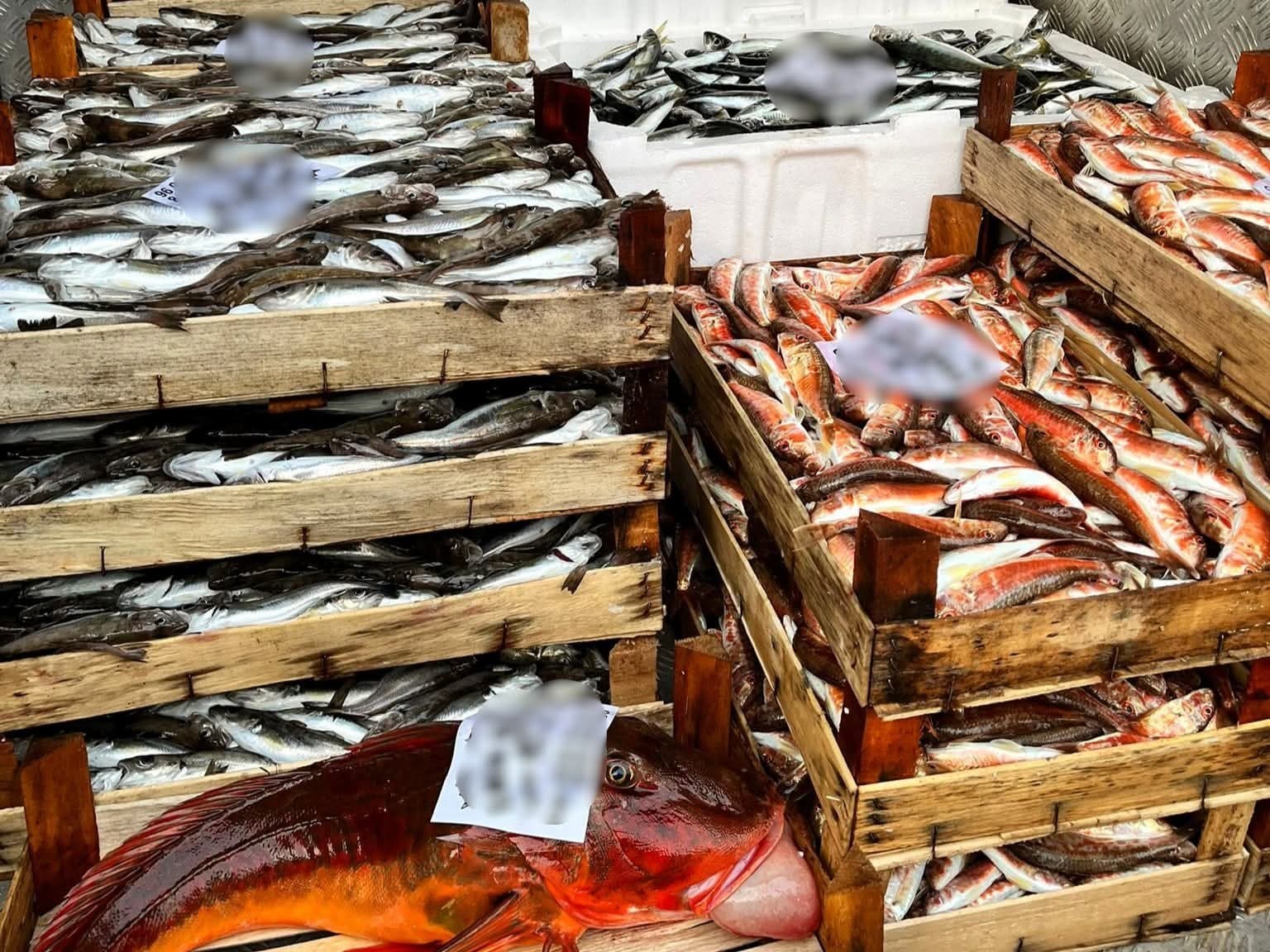 Kırklareli’nde su ürünleri nakil araçlarına sıkı denetim