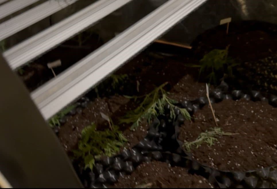 Burdur’da evi uyuşturucu imalathanesine çeviren şüpheli tutuklandı