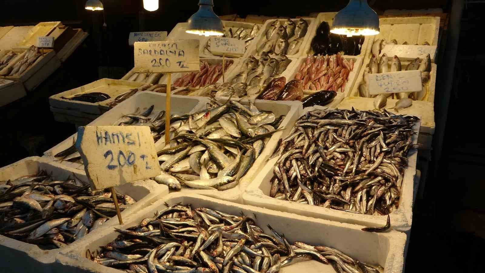 Hint Okyanusu’na özgü ‘portakal benekli lagos’ Mersin’de tezgaha çıktı