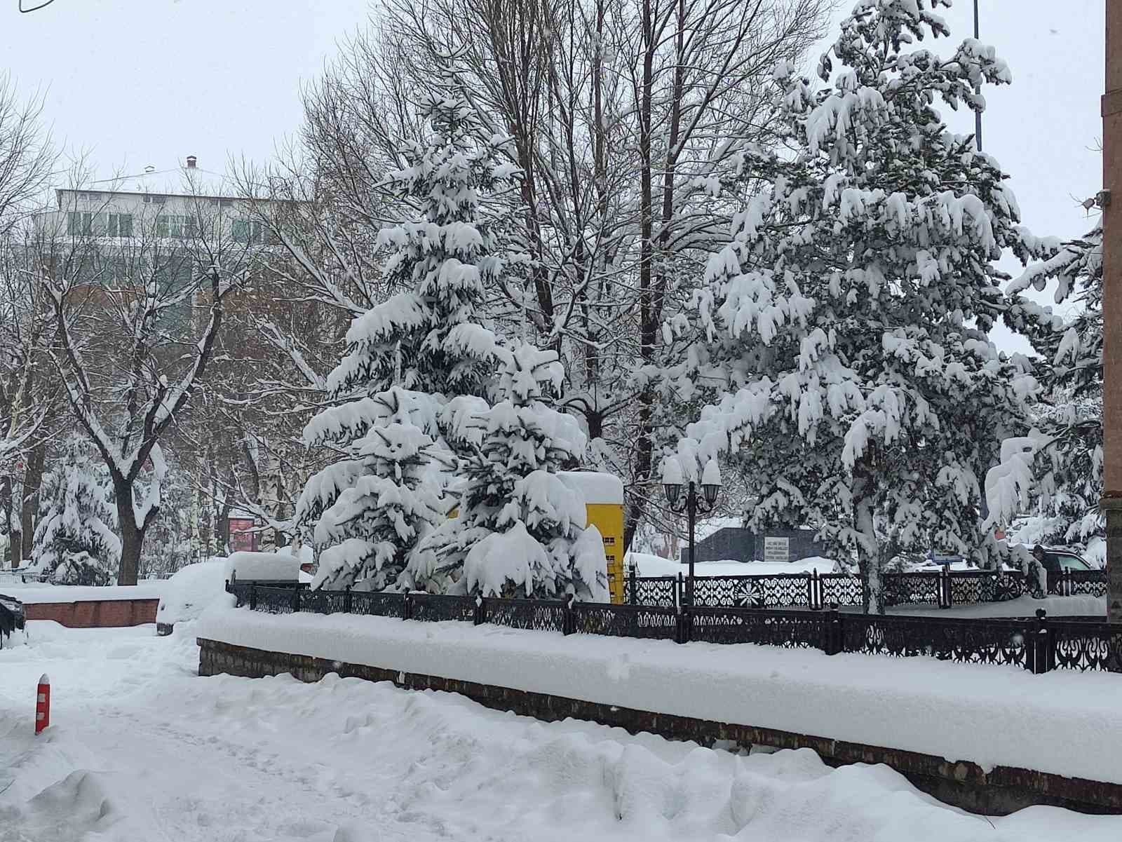 Ardahan’da kar yağışı yeniden başladı