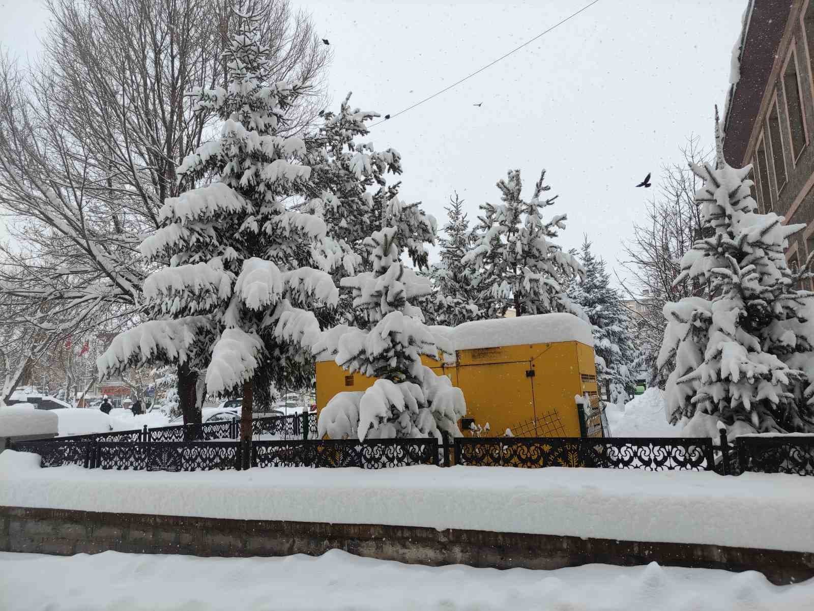 Ardahan’da kar yağışı yeniden başladı