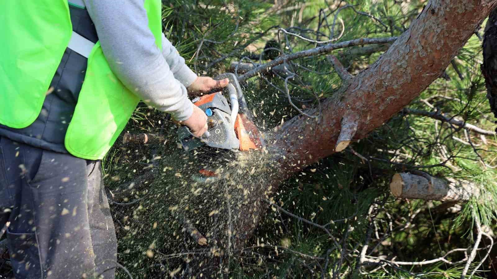 Muğla’da yangın sezonu öncesi Sakar Geçidi’nde riskli dallar temizleniyor