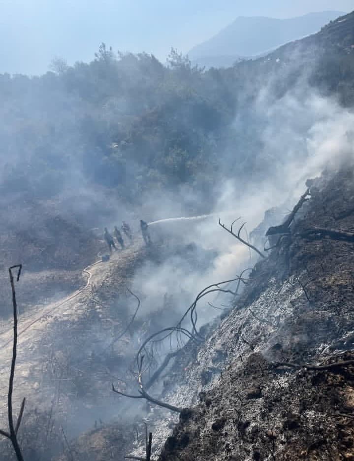 Samandağ’da bahçede çıkan yangın büyümeden söndürüldü
