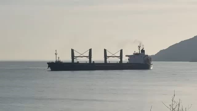 Çanakkale Boğazı’nda makina arızası yapan gemi karaya oturdu