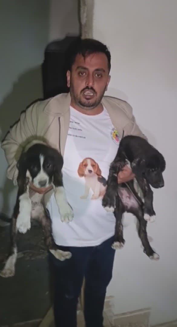 Yıkılacak binadaki yavru köpekleri kurtaran hayvansever yürekleri ısıttı