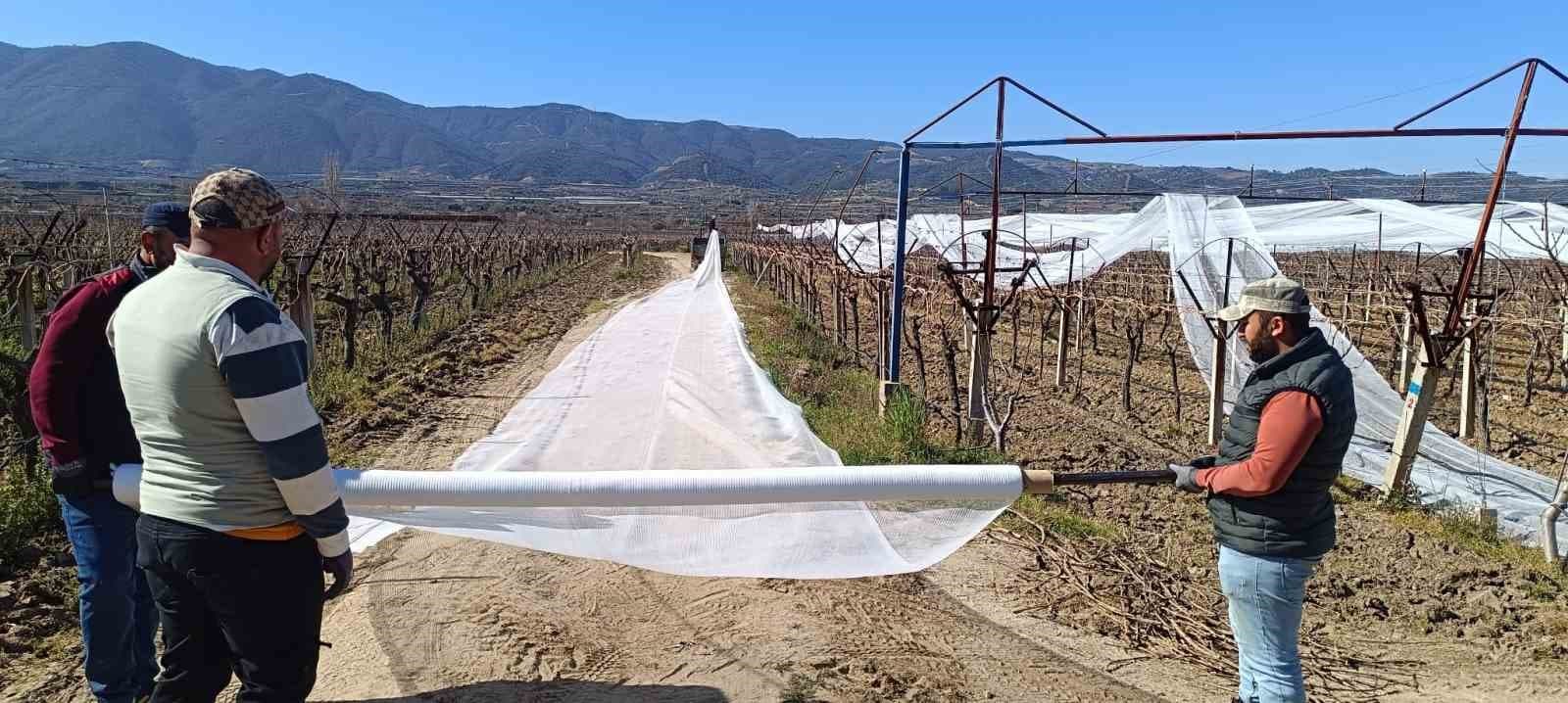 Sarıgöl’de üzüm bağları doluya karşı fileyle korunuyor