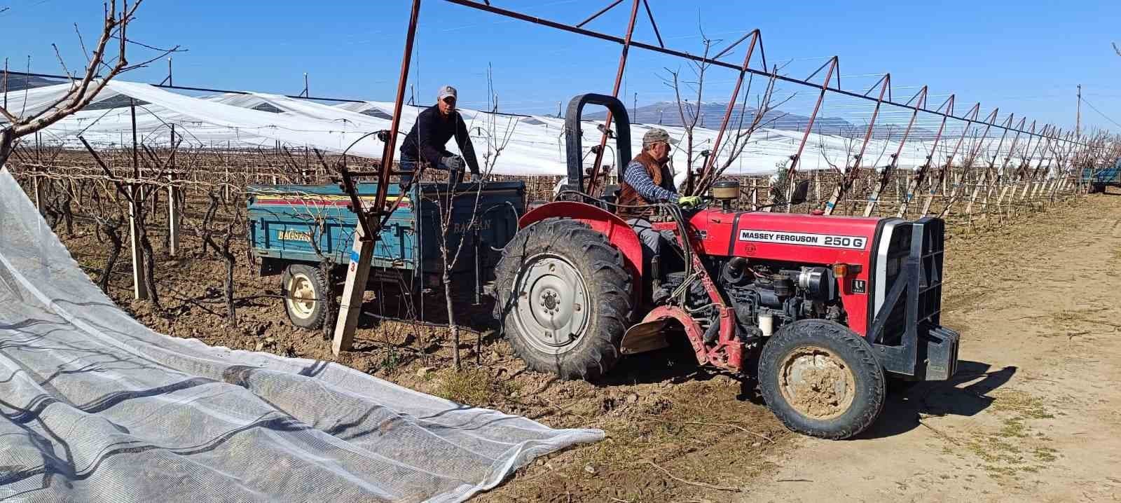 Sarıgöl’de üzüm bağları doluya karşı fileyle korunuyor