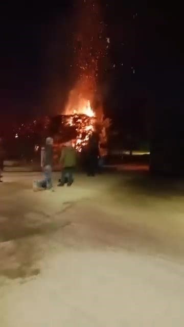 Sebepsiz yere ateşe verilen ağaç itfaiyeyi harekete geçirdi