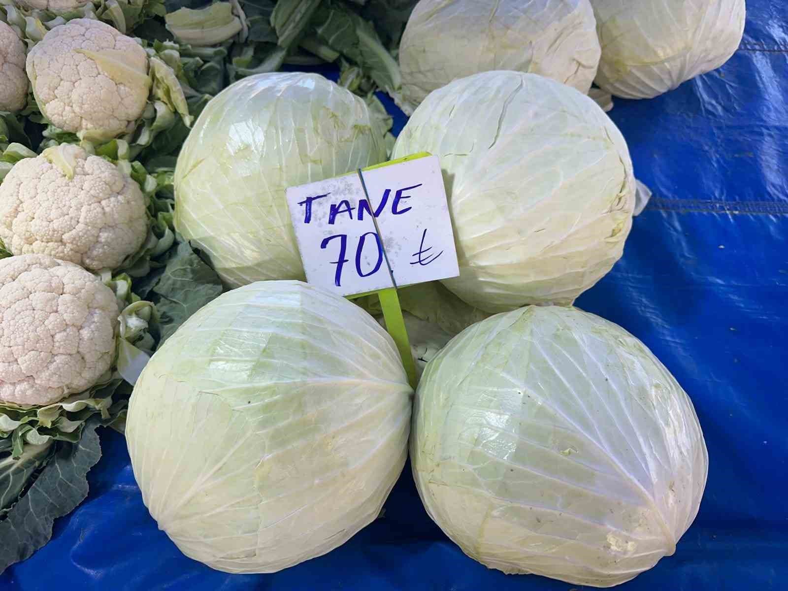 Pazarda 70 lira ama yüzbinlercesi tarlada çürüdü: Üreticiler Tarım Kredi’ye çağrı yaptı