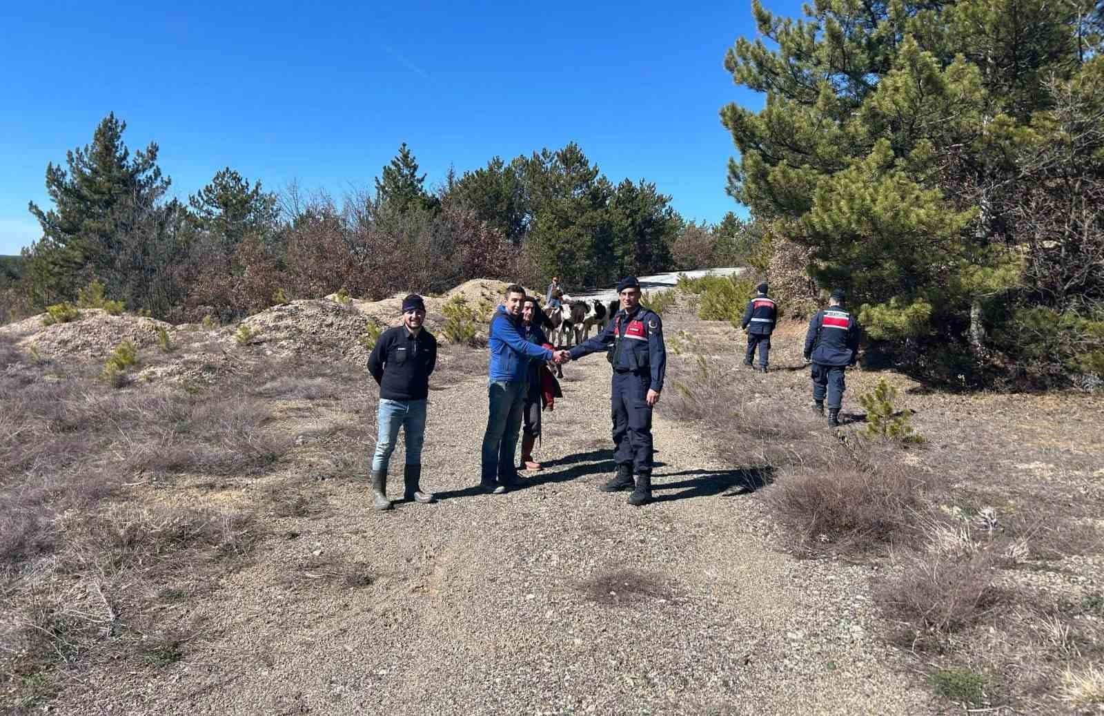 Kütahya’da kaybolan hayvanları jandarma dronla buldu
