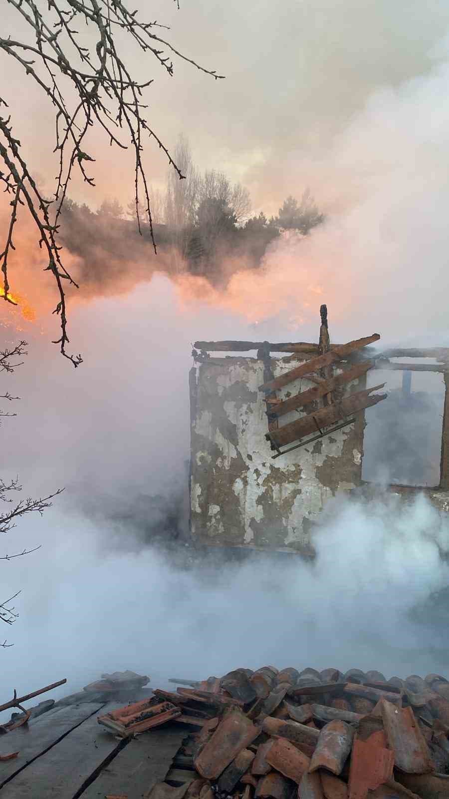 Köyde korkutan yangın: Evler ve ahırlar küle döndü