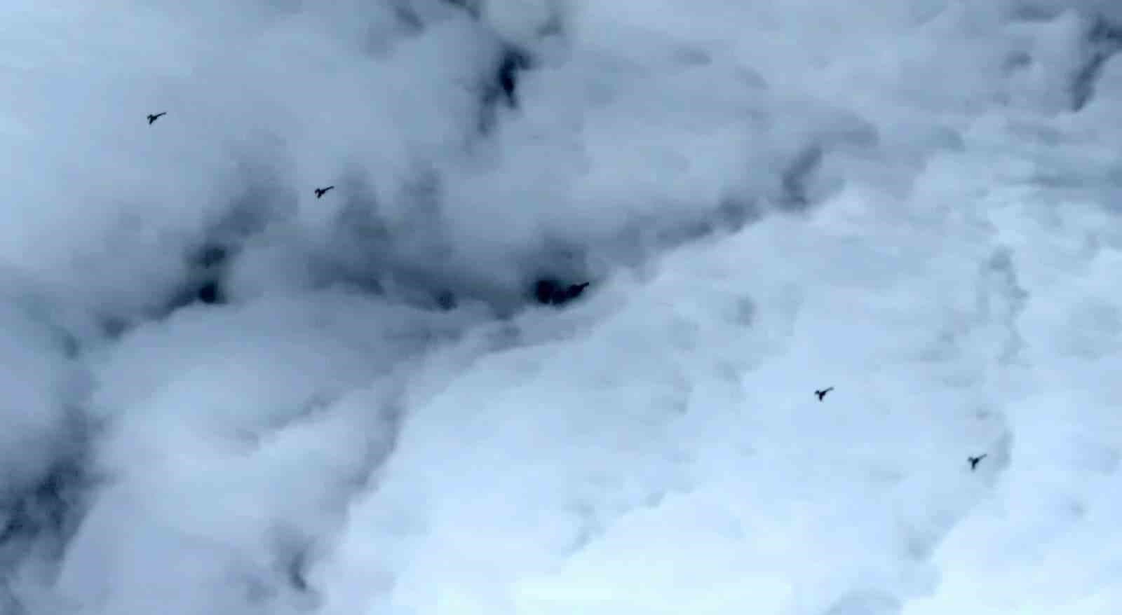 K2 Kamikaze İHA sahaya çıktı