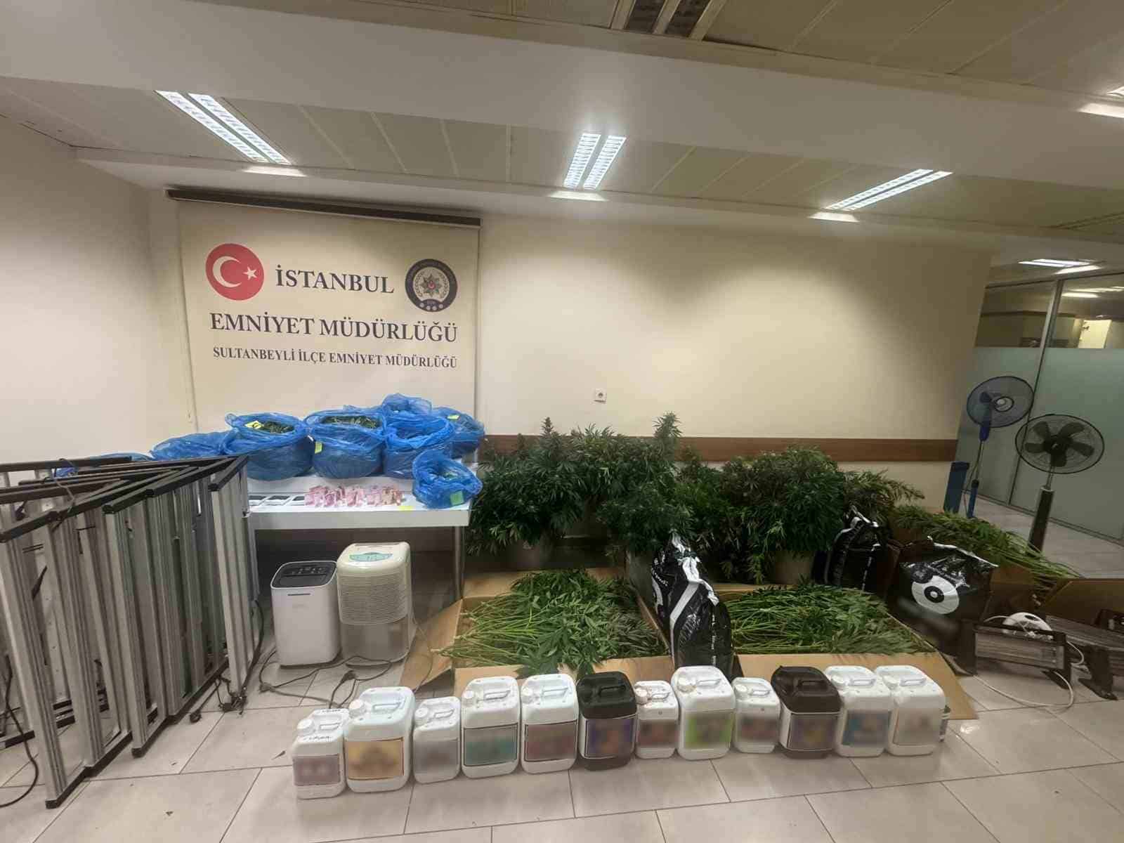 Sultanbeyli’de kenevir serasına baskın: 21 kilo Hint keneviri ele geçirildi