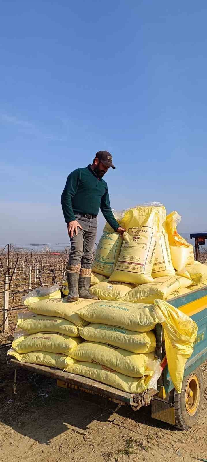 Sarıgöl bağlarında gübreleme çalışmaları başladı