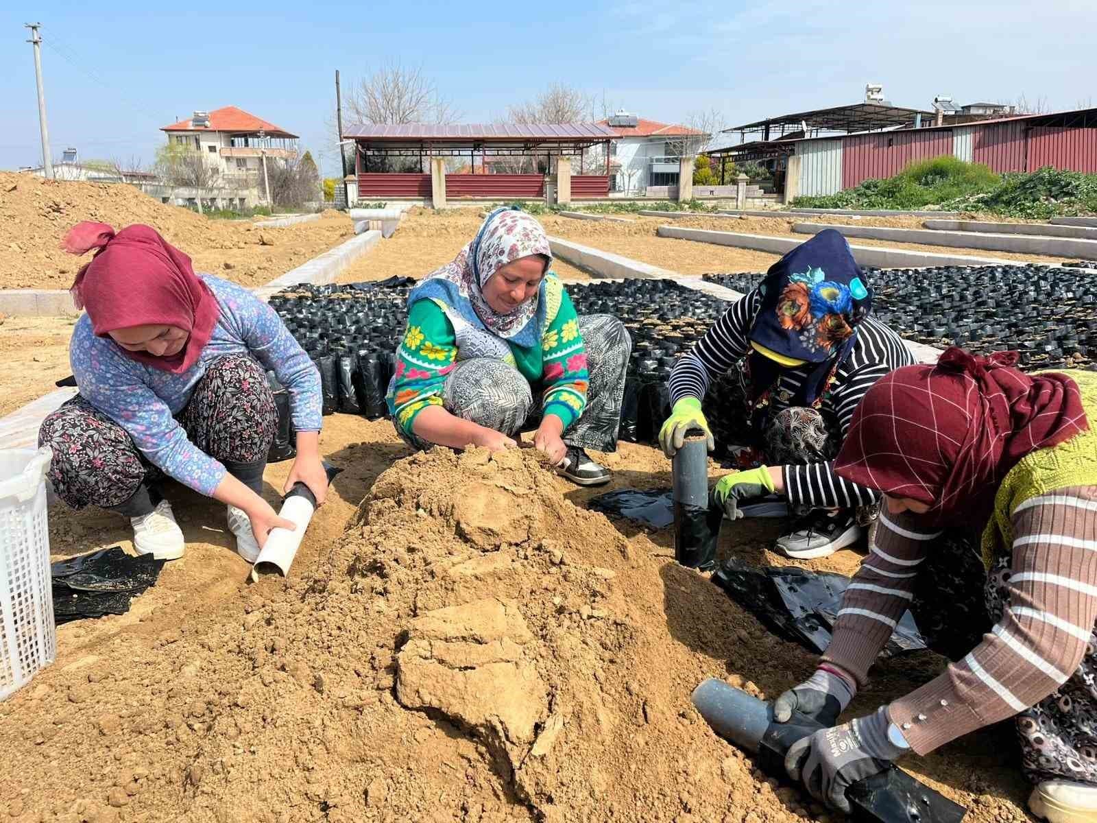 İki kardeşten üzüm fidanında büyük başarı