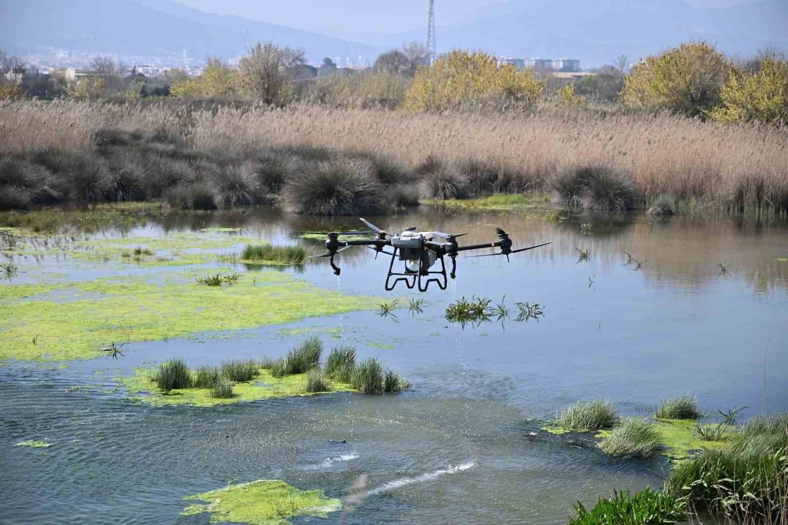Manisa’da sivrisinek alarmı