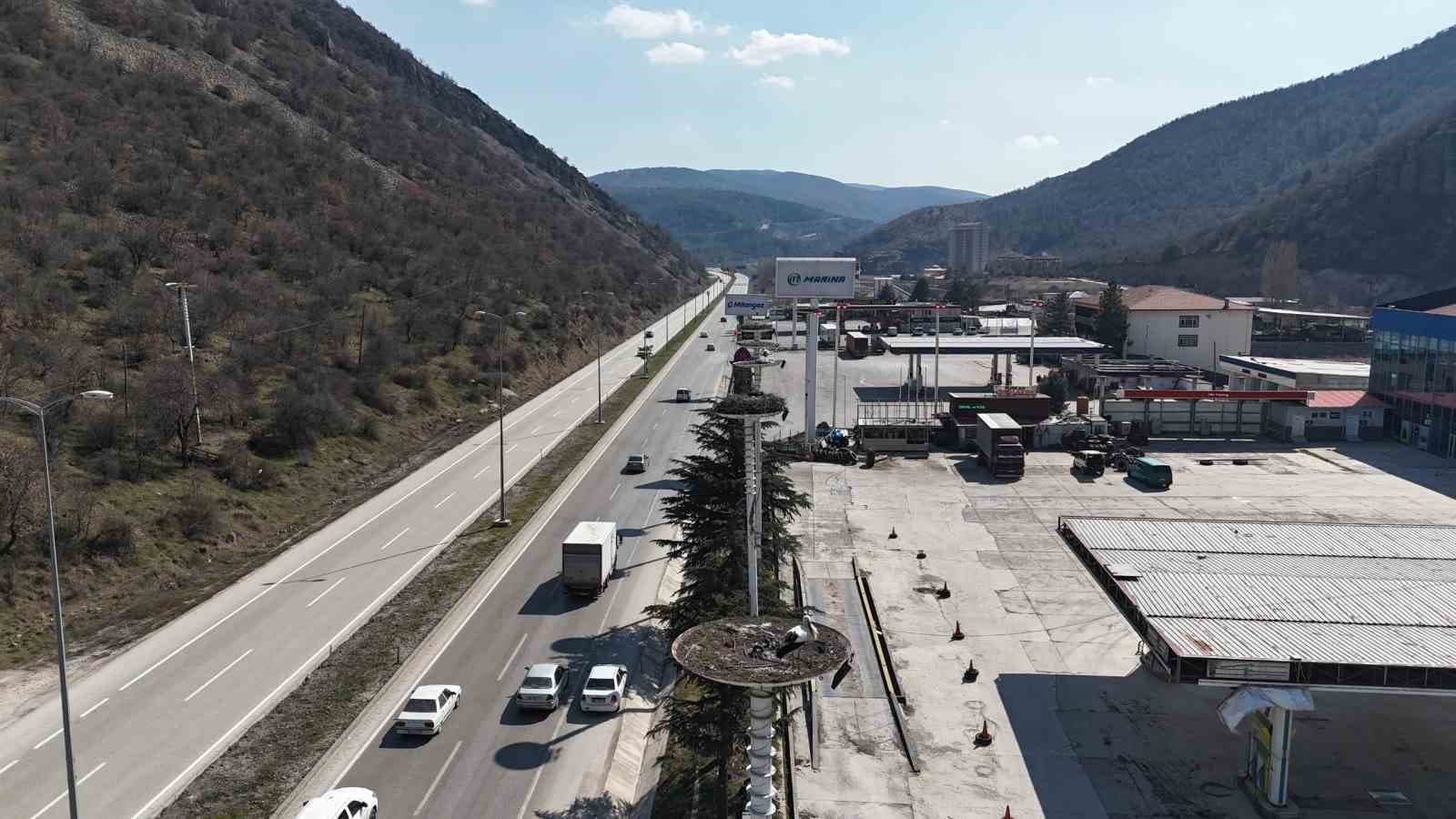 Baharın habercisi olan leylekler, Ankara’ya ulaştı