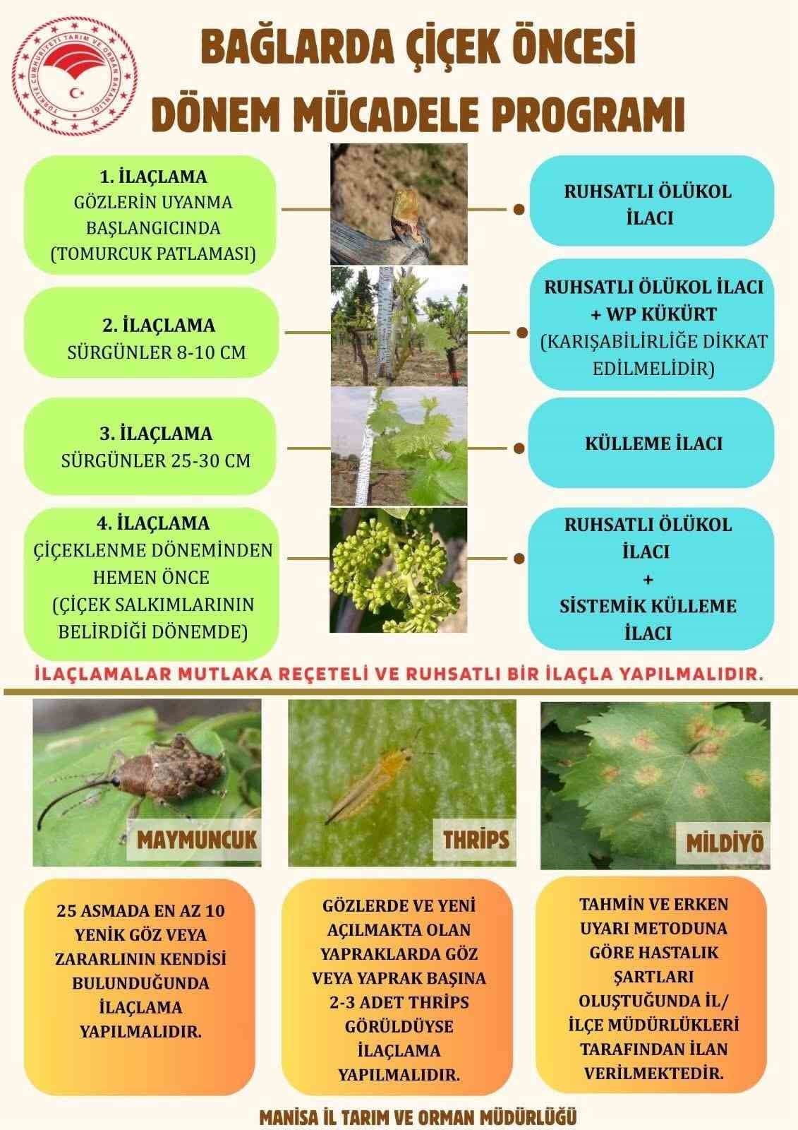Bağlarda çiçek öncesi ilaçlama programı açıklandı