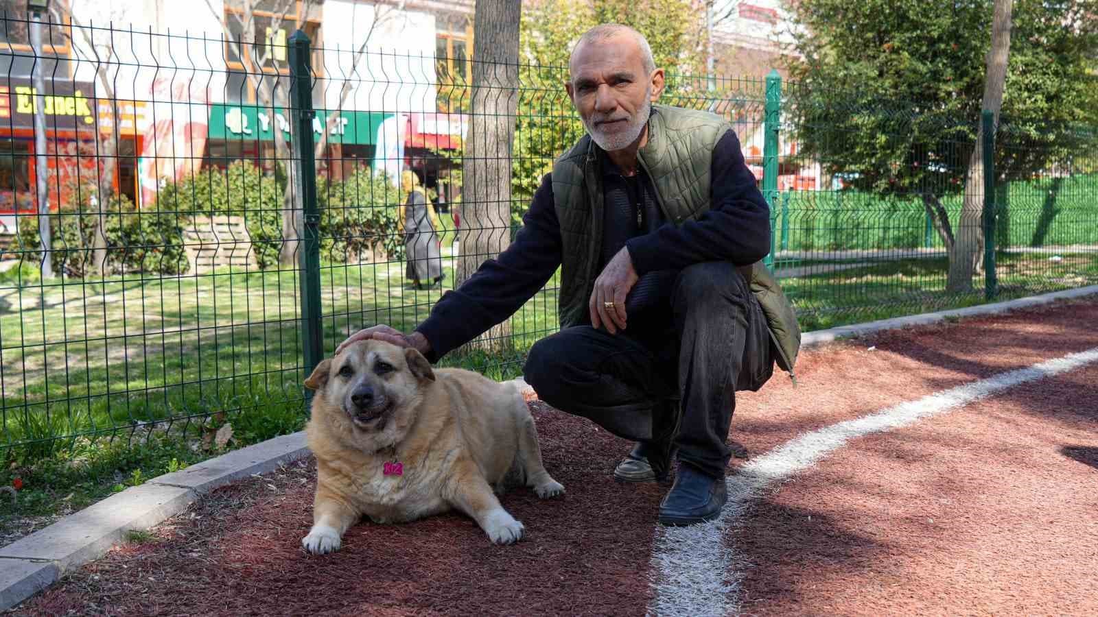 13 yaşındaki obez köpek ’Kız’, yürüyüş yaparak zayıflıyor
