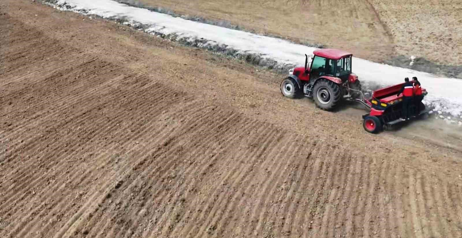 Kütahya’da çörek otu üretimi gelişiyor
