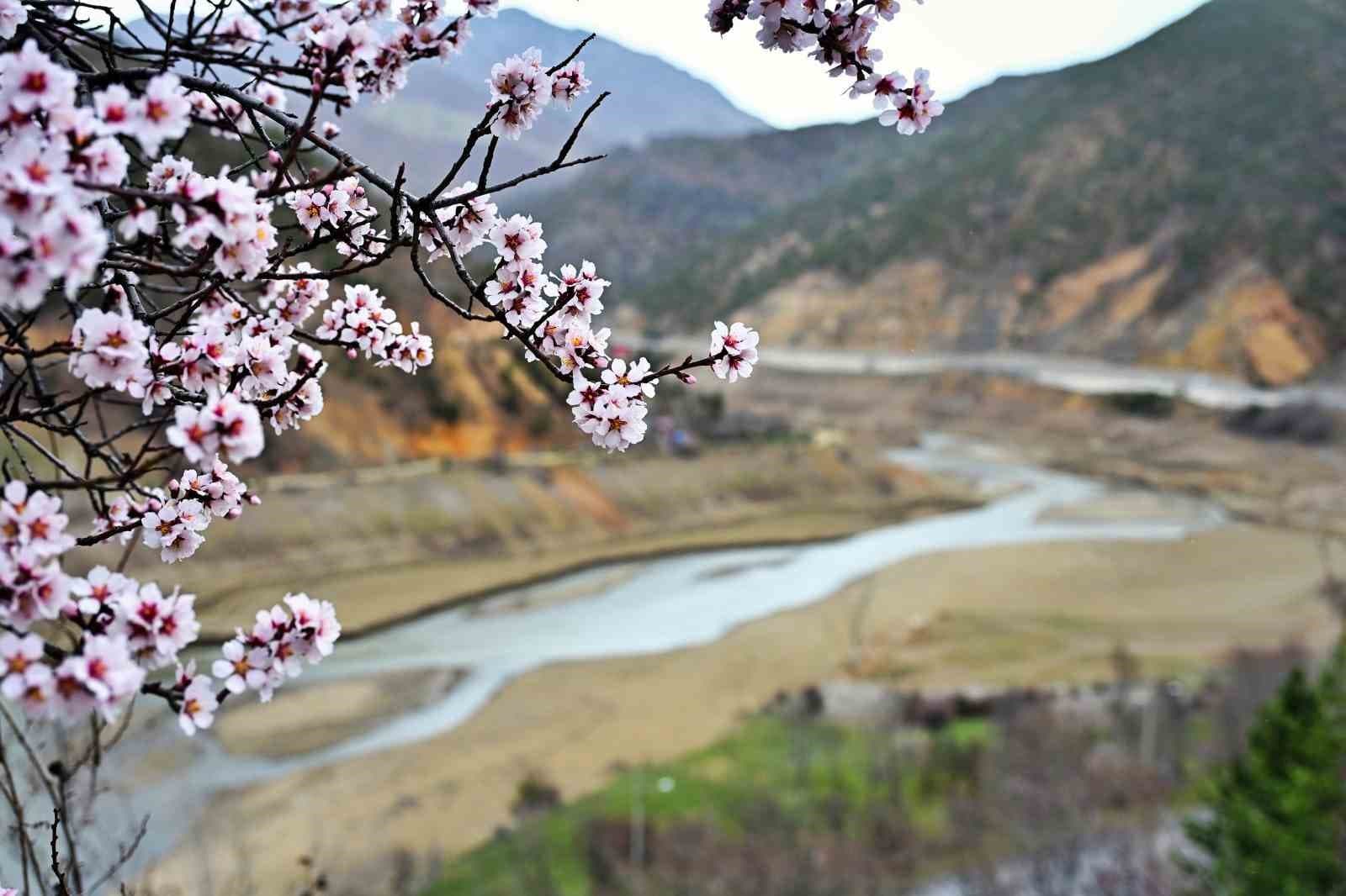 Gümüşhane’de baharın renkleri kışın beyazıyla kucaklaştı