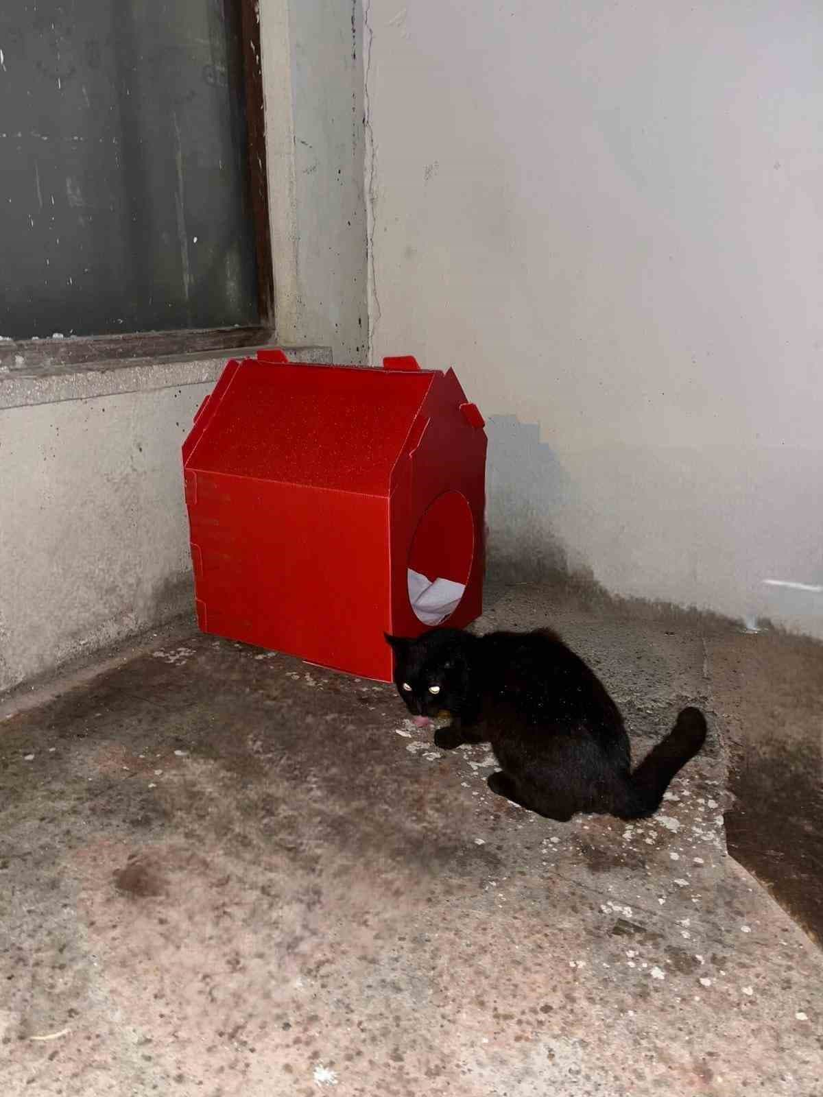 El emeğiyle yaptı, sokak kedilerine yuva oldu