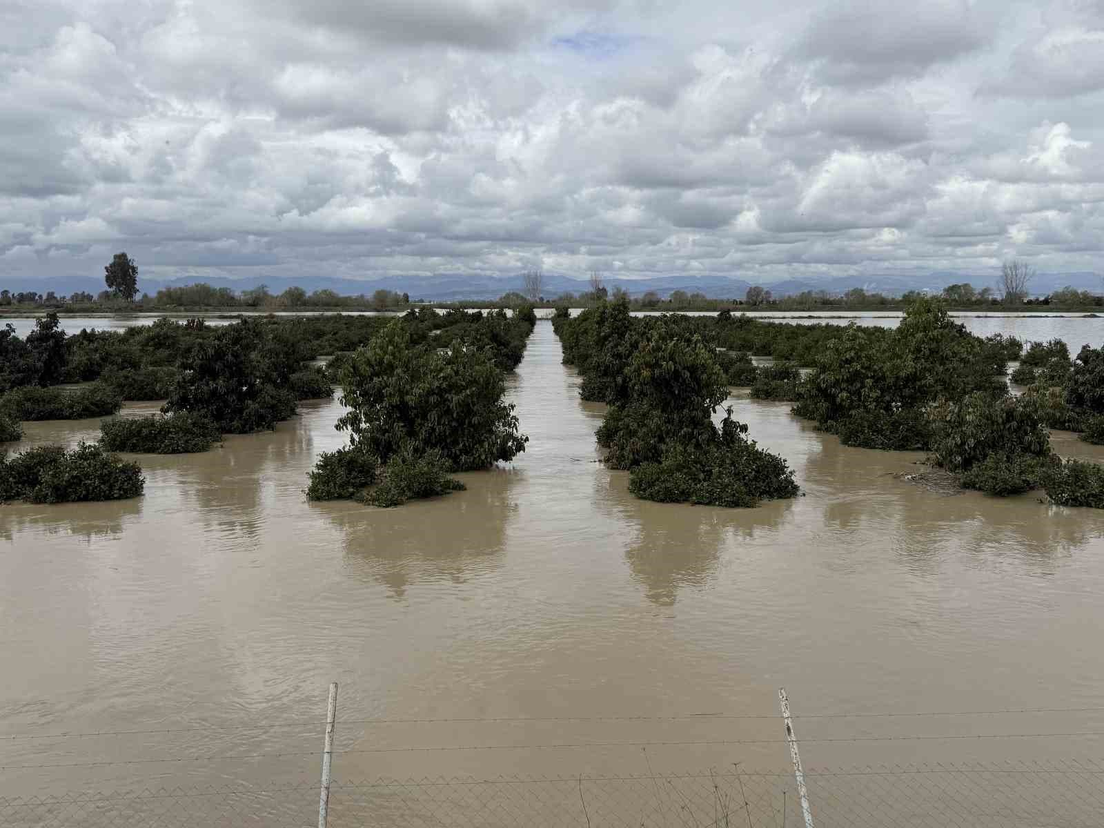 Yağışlar tarım arazilerini vurdu