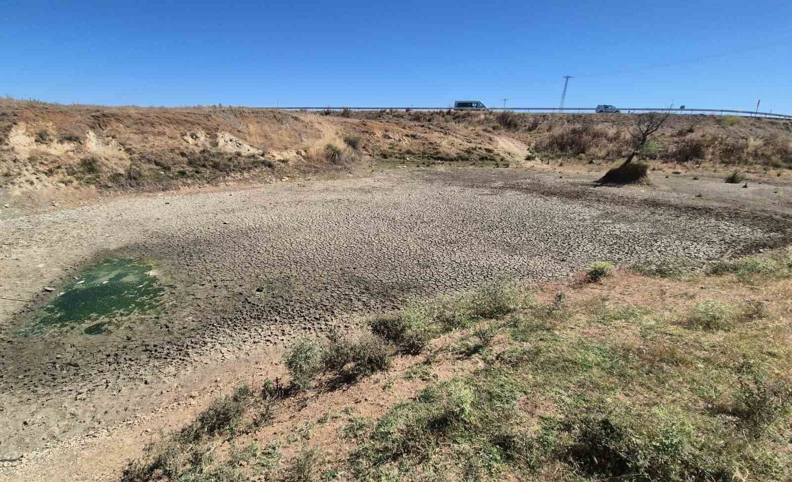 Kuruyan gölet yeniden canlandı: Çatlayan topraklar suyla buluştu