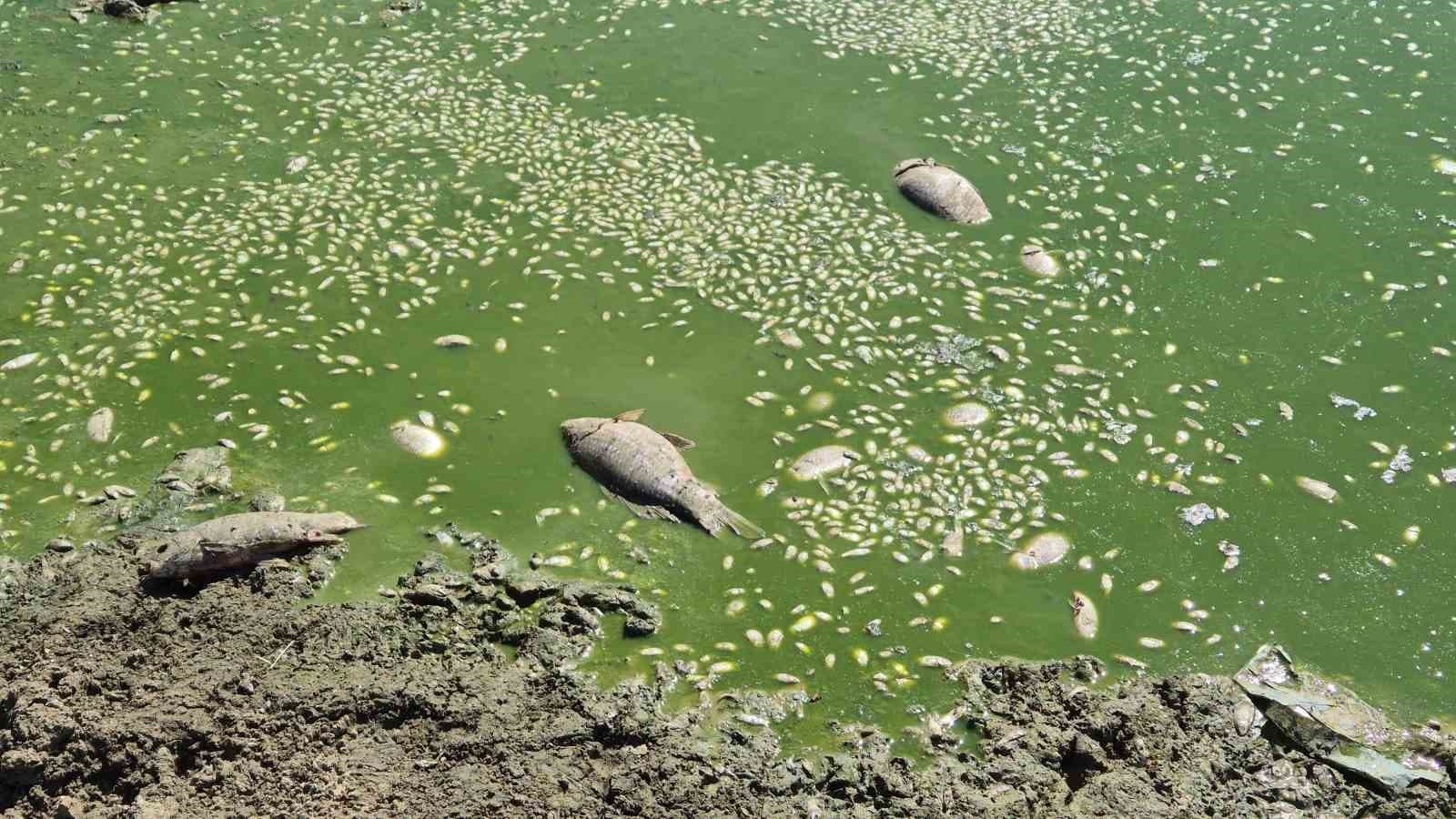 Kuruyan gölet yeniden canlandı: Çatlayan topraklar suyla buluştu