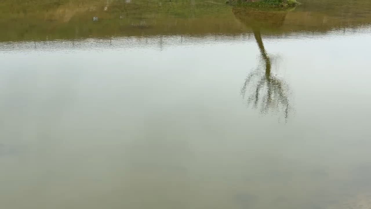 Kuruyan gölet yeniden canlandı: Çatlayan topraklar suyla buluştu
