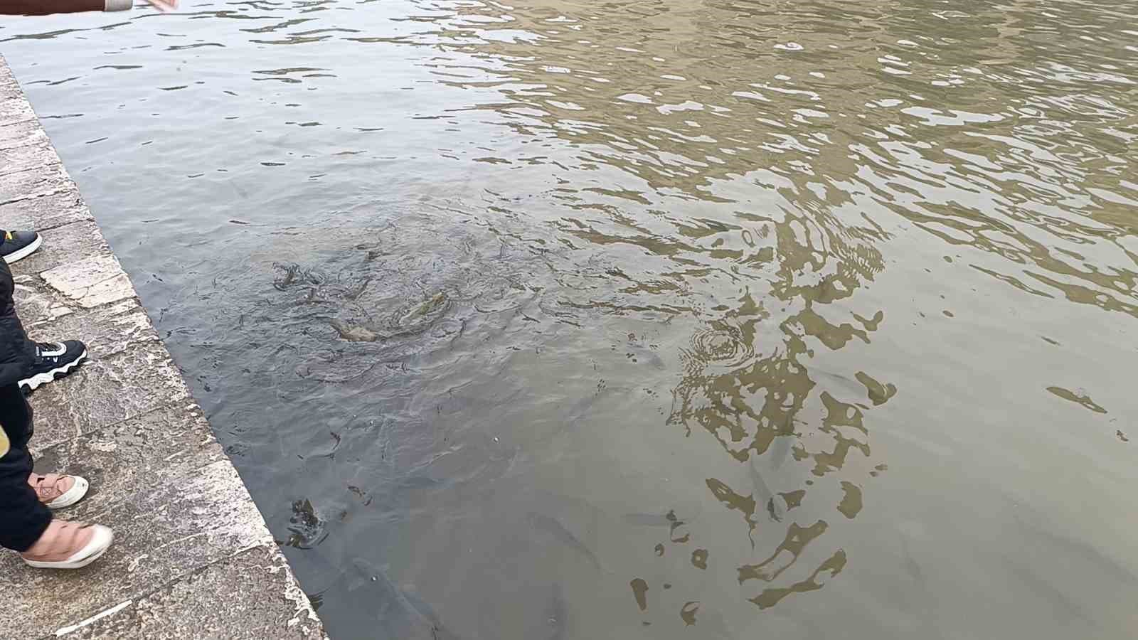 Balıklıgöl normale döndü