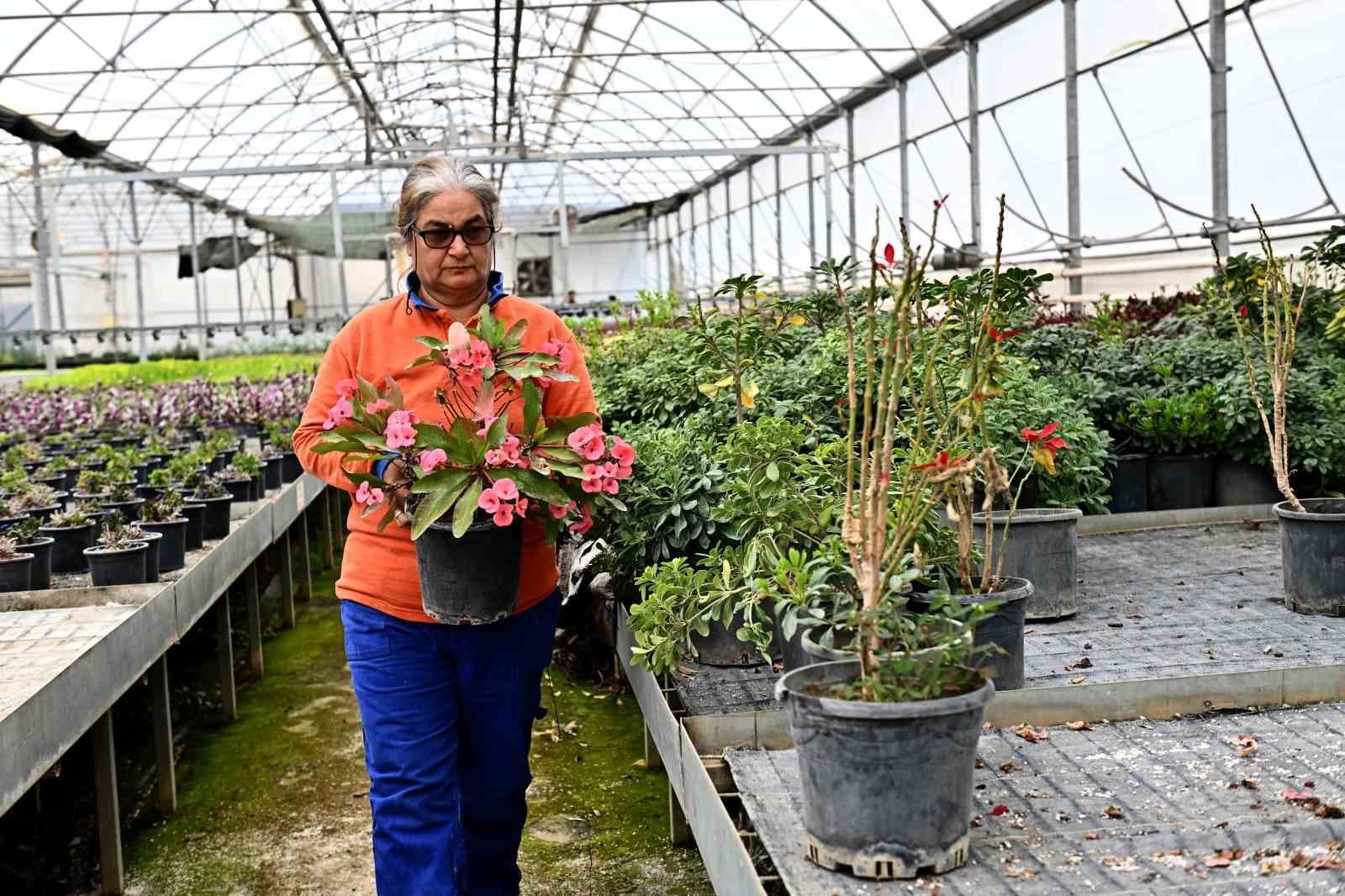 Muratpaşa’dan örnek bitki üretim modeli