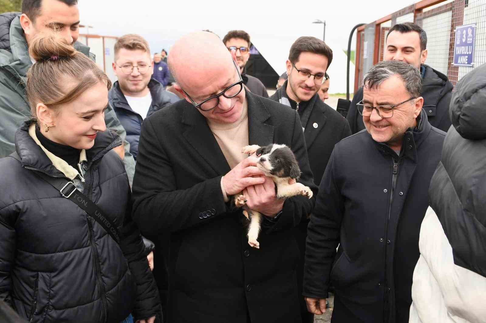 Altıeylül’ de can dostlar sıcak yuva bekliyor