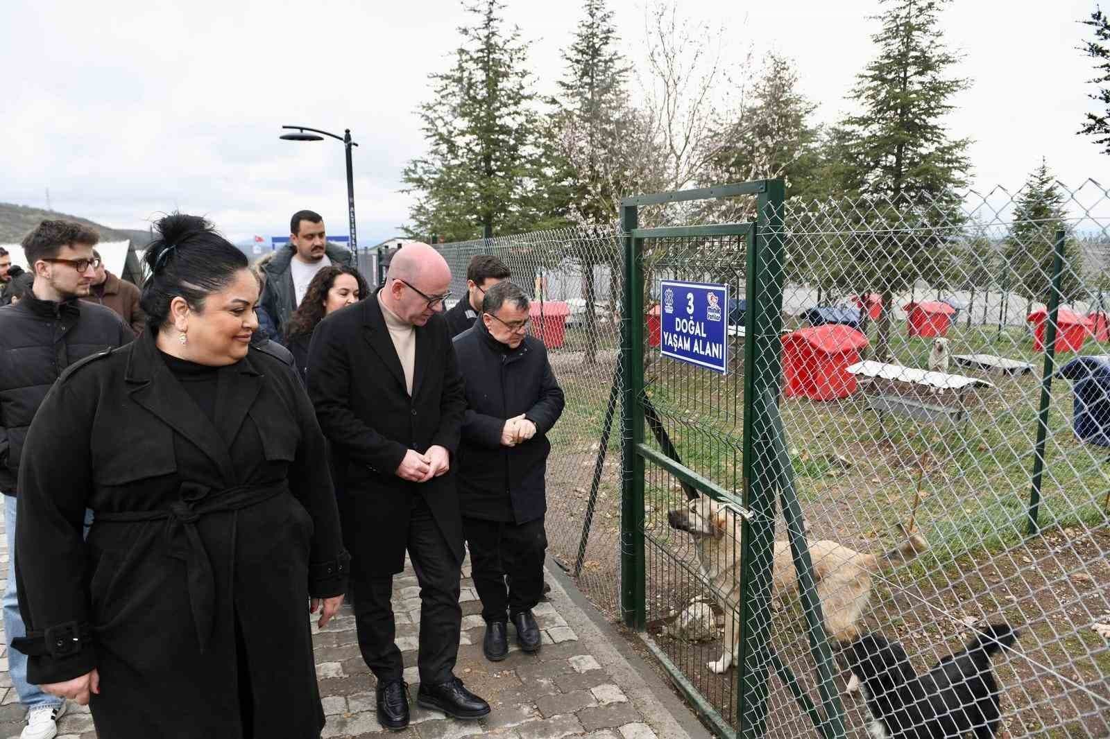 Altıeylül’ de can dostlar sıcak yuva bekliyor