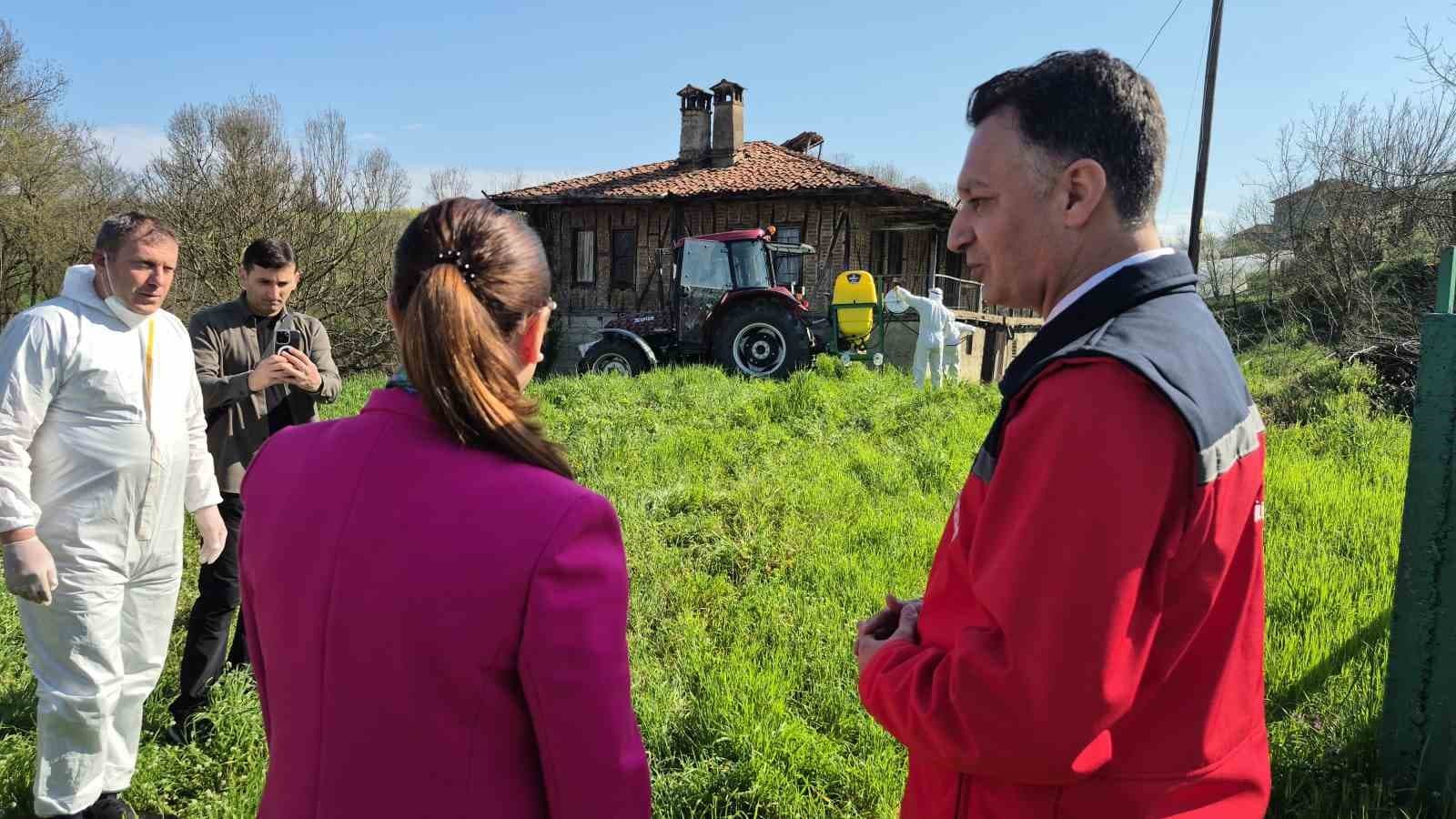 Bartın’da kahverengi kokarca kış uykusunda yok edilecek